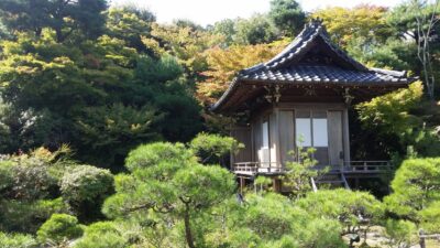 Kyoto: Immersive Arashiyama & Fushimi Inari by Private Car - Tenryu-ji Temple: where Japanese garden design clicks
