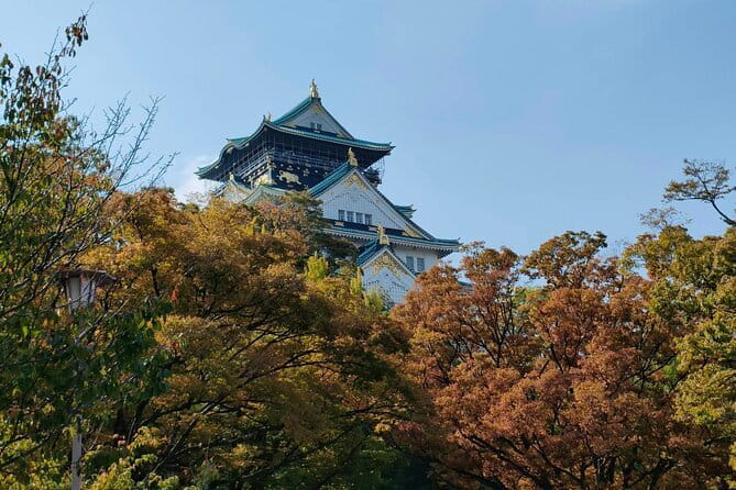 Kyoto & Nara Private Day Tour - Pacing, crowd control, and photo stops that actually work