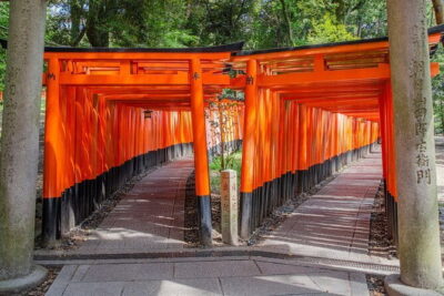 Kyoto & Nara & Uji: Full Day Sightseeing Tour from Osaka or Kyoto - Uji Park on the River: A Break from Temple-Dense Hours