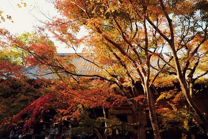 Luxury Classic Kyoto Day Tour - Private Customized Car Tour - Stop 2: Kinkaku-ji (Golden Pavilion)—gold leaf and a strict focus