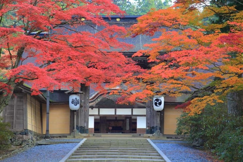 Mount Koya from Osaka: Cultural Small Group Day Tour - Key highlights at a glance