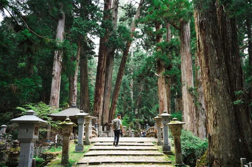 Mount Koya from Osaka: Cultural Small Group Day Tour - Mount Koya From Osaka: A 12-hour day with real temple pacing
