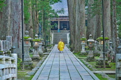 Mount Koya from Osaka: Cultural Small Group Day Tour - Okunoin Cemetery: the cedar trail, the tombstones, and silence that hits