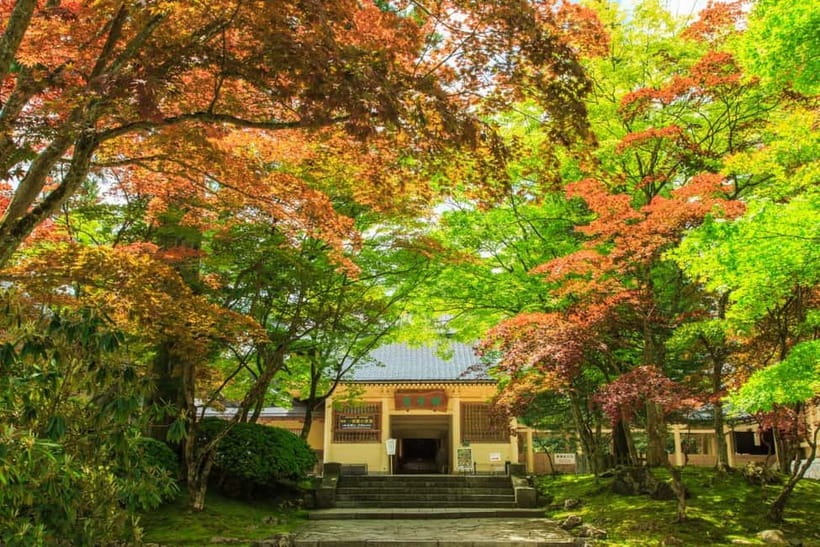 Mount Koya from Osaka: Cultural Small Group Day Tour - Danjo Garan and Reihokan Museum: seeing the site as a designed whole