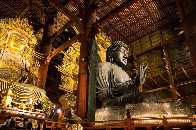 Nara 8hr Private Tour - Osaka DEP. with Licensed Guide - Key takeaways before you go