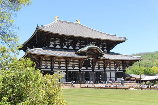 Nara Day Trip from Osaka with a Licensed Guide - Getting to Nara: Osaka Station to a Guided Start