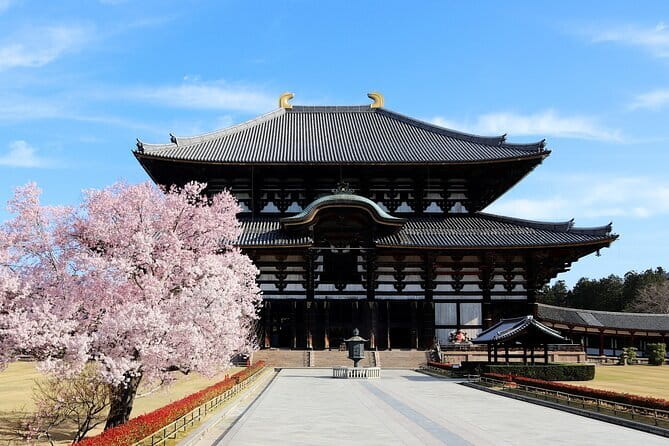 Nara Day Trip from Osaka with a Licensed Guide - How the Day Flows: Timing That Actually Works