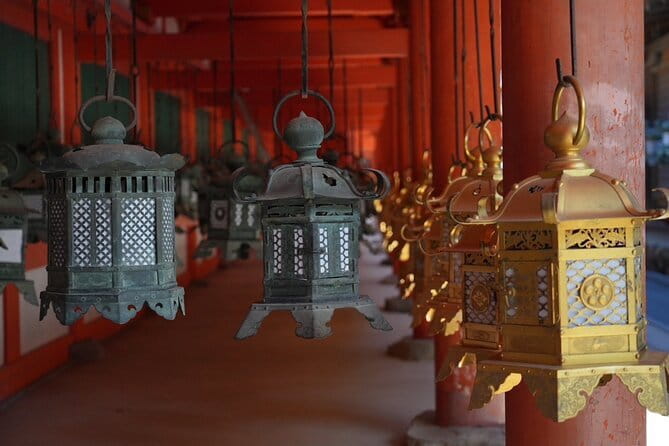 Nara Early Morning Tour (Osaka Departure Option) - Kasuga Grand Shrine and its lanterns (about 3,000 of them)