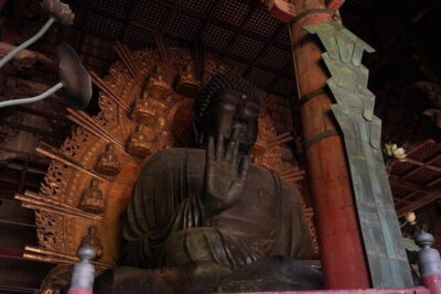 Nara Early Morning Tour (Osaka Departure Option) - Kofuku-ji Temple: pagoda views before the day fills in