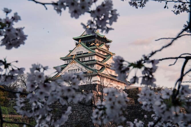 Nara Early Morning Tour (Osaka Departure Option) - Price and value: what you actually get for $87.96