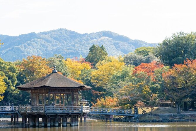 Nara : Private Day Walking Tour (From Osaka/Kyoto Possible) - Price and logistics: what $174.29 really buys
