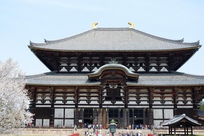 Nara Private Tour by Public Transportation from Osaka - Price and value: $175.58 plus entry and transit costs