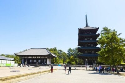 Nara Private Tour by Public Transportation from Osaka - Getting started: hotel pickup, mobile ticket, and meeting your guide