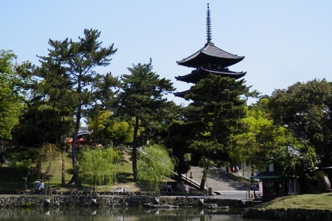 Nara Private Tour by Public Transportation from Osaka - Nara Park and the deer: UNESCO-area atmosphere with guided navigation