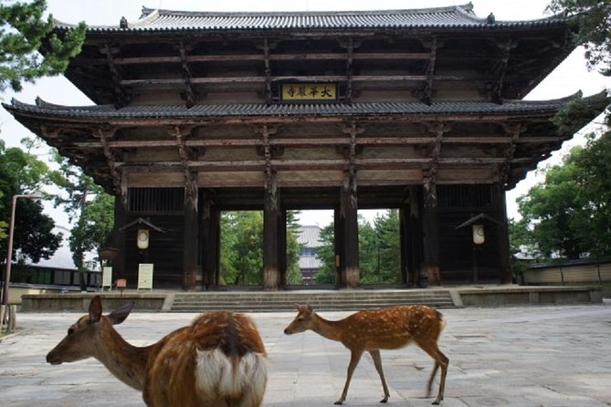 Nara Private Tour by Public Transportation from Osaka - The 7-hour pacing: how to plan your day so you don’t rush