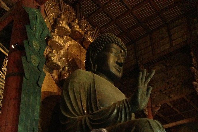 Nara private tour (Shore excursion available from Osaka or Kobe port) - A Nara shore day that fits 8 hours without feeling chopped up