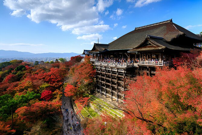 Nara Private Tour with Pick and Drop and English Speaking Driver - Todai-ji’s Great Buddha: the sight that anchors the whole day