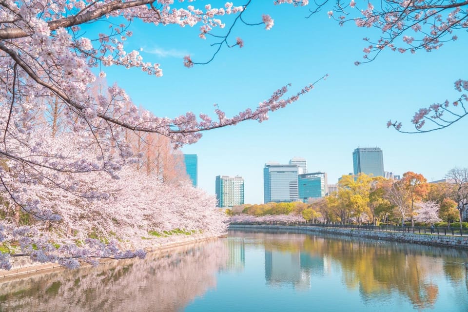 Osaka: 1-Day Private Customizable Trip by Car - Private car comfort: why this format works in Osaka