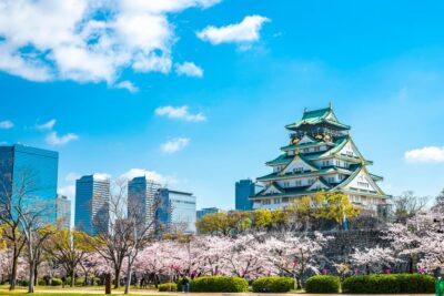 Osaka: 1-Day Private Customizable Trip by Car - How the 9 hours fit: pickup, transit, and lunch time