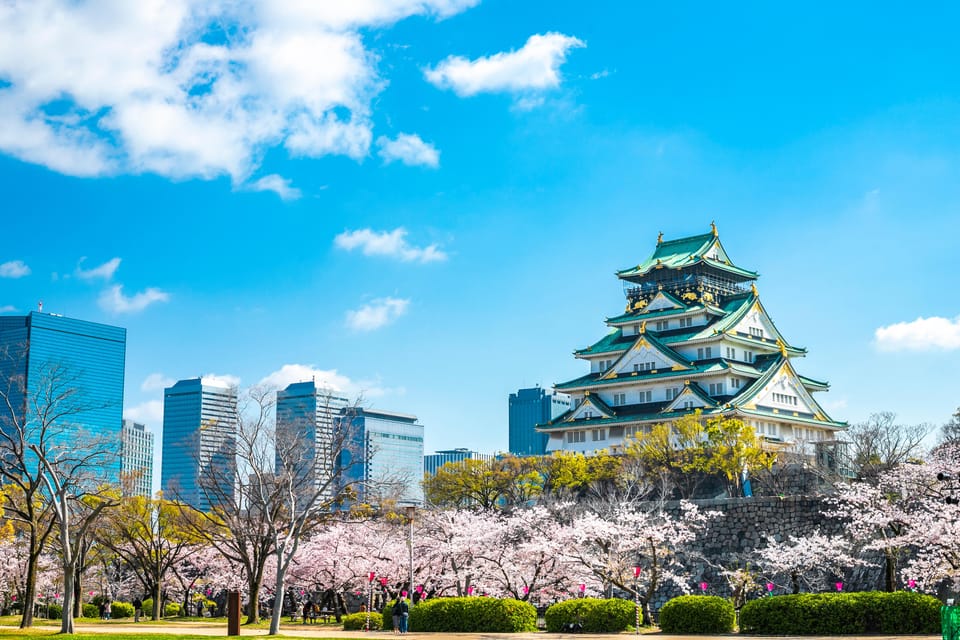 Osaka: 1-Day Private Customizable Trip by Car - How the 9 hours fit: pickup, transit, and lunch time