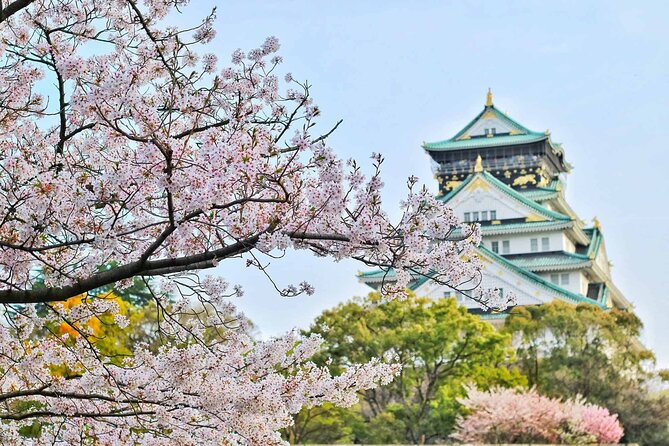 Osaka 6 hr Private Tour: English Speaking Driver Only, No Guide - Shitennoji: a short temple visit that resets your day