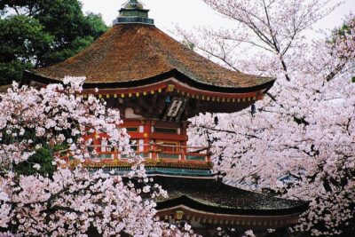 Osaka and Kansai Private Customized Day Tour - Pickup, parking, and why timing usually matters more than you think