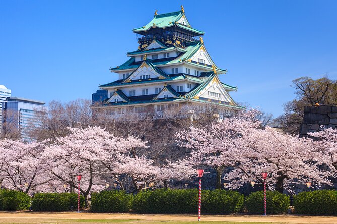 Osaka and Kansai Private Customized Day Tour - Vehicle comfort: 7 vs 10 seats, air-conditioning, and the luggage reality