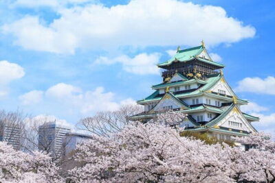 Osaka and Nara Attractive One Day private Tour - Osaka Castle: The Famous Landmark With a Modern Reconstruction