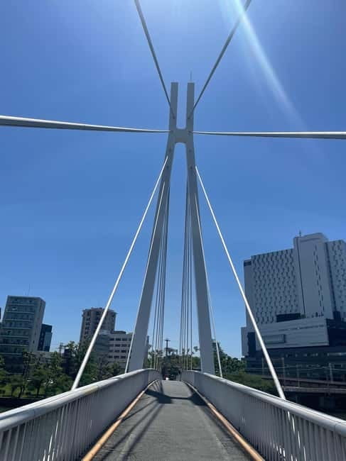 Osaka: Bike Adventure with Lunch - Key highlights you’ll feel from the start