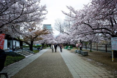 Osaka Castle & Samurai History Walking Tour - Nishinomaru Garden and Osaka Castle Park: Quiet Beauty Meets Real Osaka