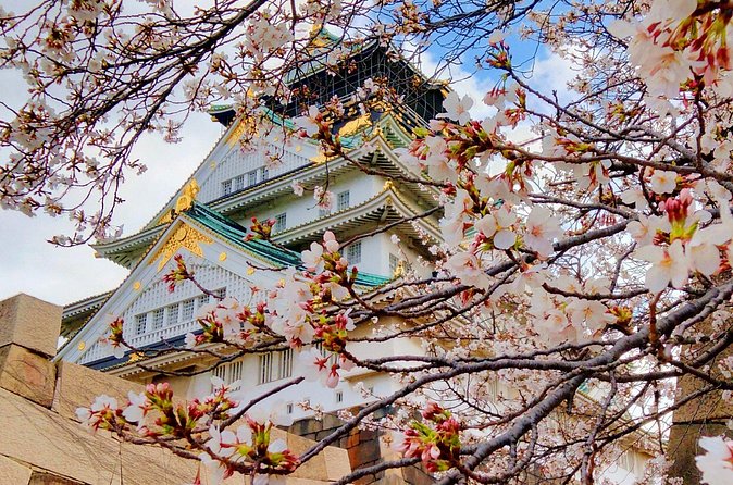 Osaka Castle & Temple Walking Tour with Multilingual Audio Guide - Osaka Castle Park: Main Tower photo viewpoints and guided stories