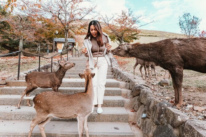 Osaka Explore Every Bit of Osaka Castle in 3 Hours - Osaka Castle Keep Tower: The Real Highlight and Why It Matters