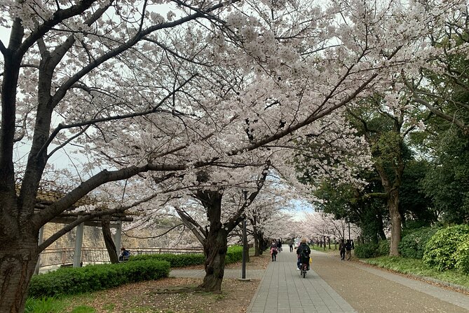 Osaka Highlights: 4Hrs Guided Walking Tour with a Native Expert - Osaka Castle and Hokoku Shrine: the smart starting line