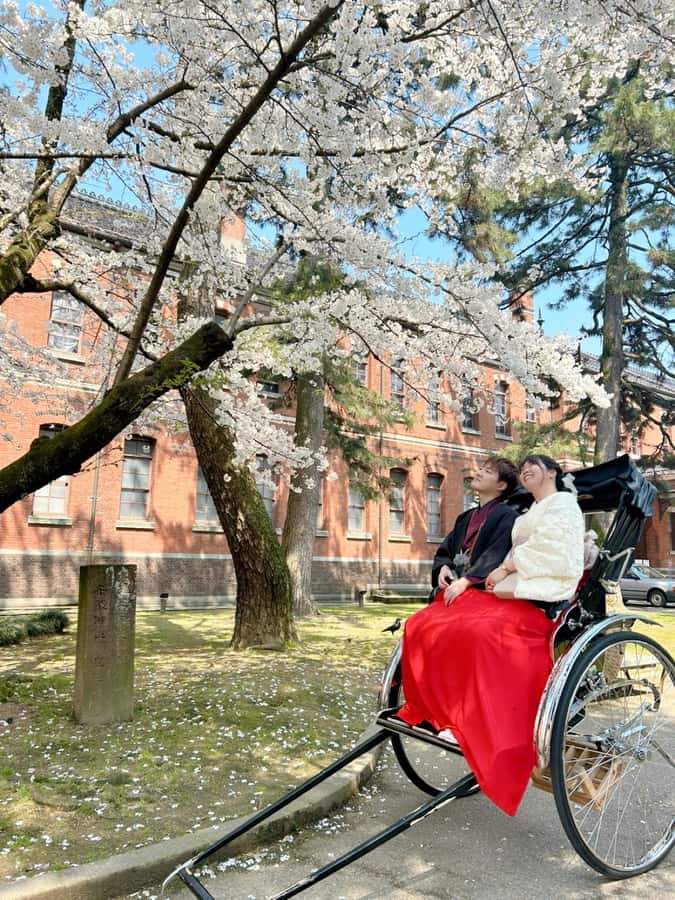 Osaka: Kimono Rental Traditional Experience at WARGO - Key highlights to know before you go