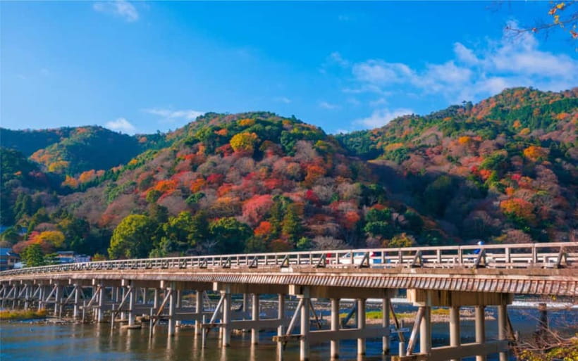 Osaka: Kyoto and Nara Private Day Trip - Price and value: what $474 for up to 6 people actually buys