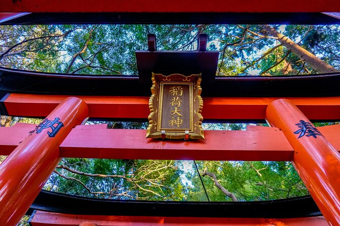 Osaka/Kyoto: Arashiyama, Fushimi Inari & Nara Park Day Trip - Nara Park deer: fun photos, real rules, and the right mindset