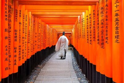 Osaka/Kyoto: Arashiyama, Fushimi Inari & Nara Park Day Trip - Fushimi Inari’s Senbon Torii: the torii tunnel moment