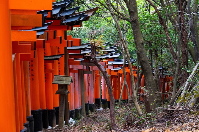Osaka/Kyoto: Arashiyama, Fushimi Inari & Nara Park Day Trip - Arashiyama Park Nakanoshima + the Kimono Forest photo stop