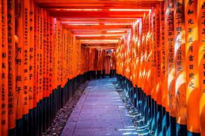 Osaka/Kyoto: Arashiyama, Nara Park, Fushimi Shrine Tour - Arashiyama bamboo trails, Togetsukyo Bridge, and the “morning advantage”