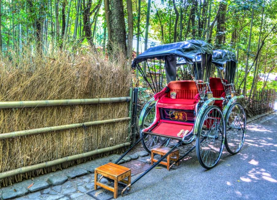 Osaka/Kyoto: Arashiyama, Nara Park, Fushimi Shrine Tour - Practical tips so you enjoy every stop