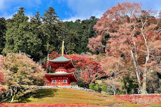 Osaka / Kyoto: Katsuoji, Arashiyama & Kinkaku-ji One Day Tour - Kinkaku-ji (Golden Pavilion): the finish that makes the day worth it