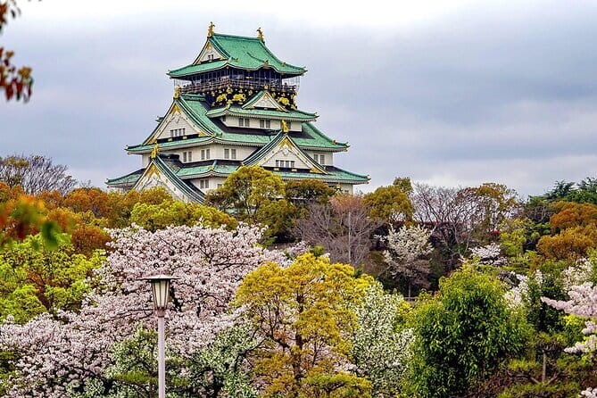 Osaka & Kyoto & Nara Top Hightlights English Speaking Tour - Stop 3: Nara Park, deer time, and the fun-factor zone