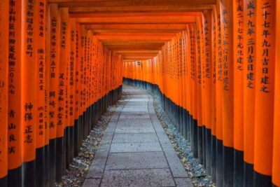 Osaka: Kyoto & Nara & Uji Historical and Scenic One-Day Tour - Nara Park Deer Feeding: Fun, Fast, and Follow-the-Guide Important