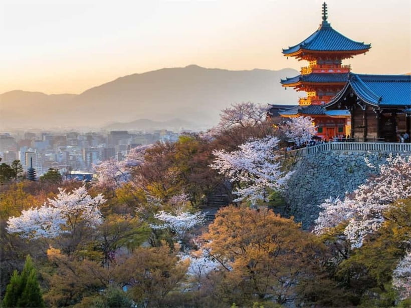 Osaka: Kyoto & Uji Historical Sites and Scenic Delights Tour - Getting to Uji: A Different Pace, Same Day Energy