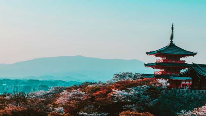 Osaka : Must-see & Hidden Gems Walking Tour - Namba meeting point: start where Osaka actually eats and shops