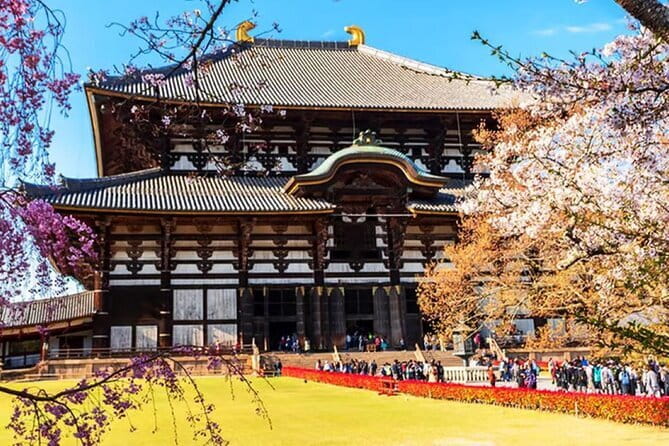 Osaka: Nara, Todaiji, Uji Matcha, and Hot Spring Tour - Why Nara and Uji belong in one day