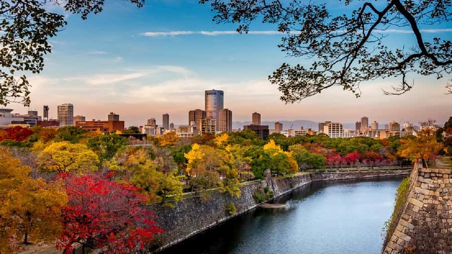 Osaka: Osaka Castle 3 hours Historical Walking Tour - Key highlights you will care about