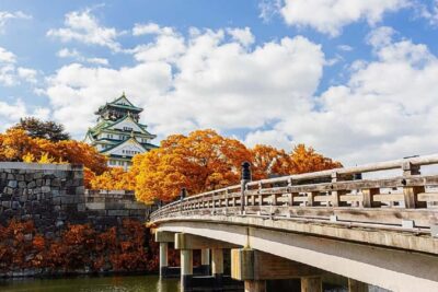 Osaka: Osaka Castle 3 hours Historical Walking Tour - Osaka Castle Museum: where the facts land best