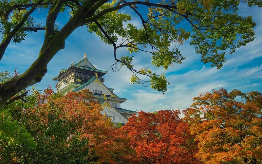 Osaka: Osaka Castle 3 hours Historical Walking Tour - Osaka Castle Park: where locals move through history