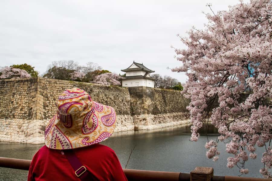 Osaka: Osaka Castle 3 hours Historical Walking Tour - How the castle shaped modern Osaka (and what your guide connects)